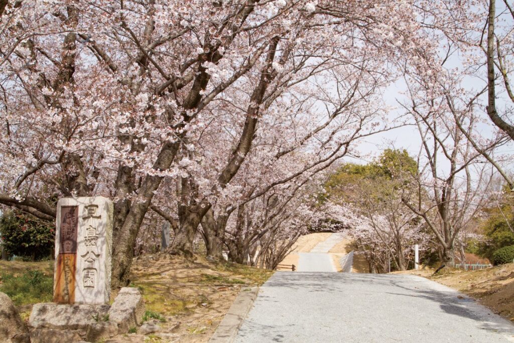 早島公園の桜